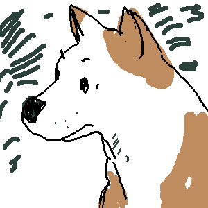 STD 300 * 300 / 4429byte(.png)
