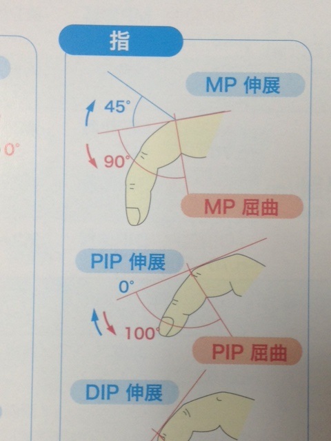 内容.JPG
